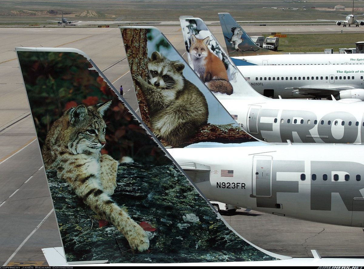 Самолеты с мордами животных