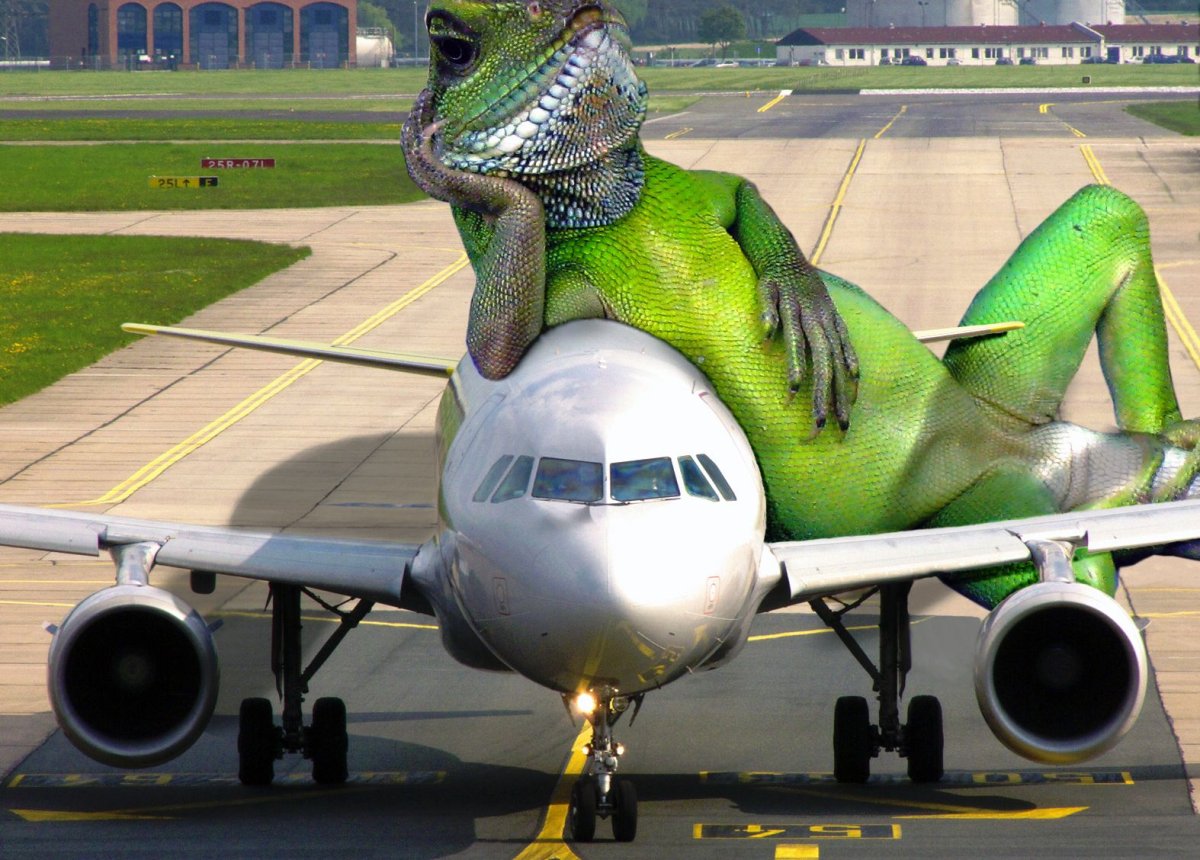 Прикольные самолеты