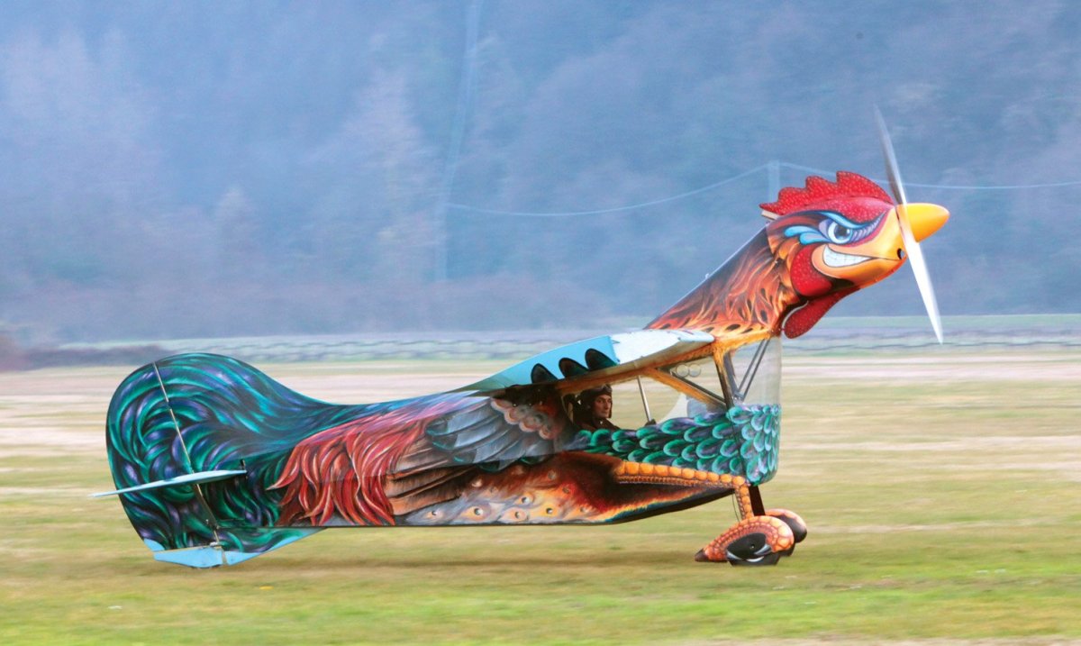 Веселый самолет