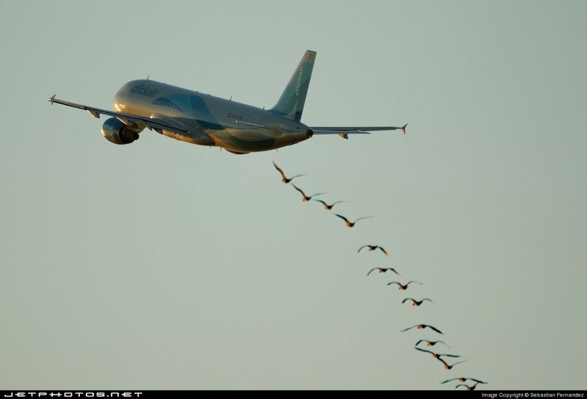 Самолет прикол