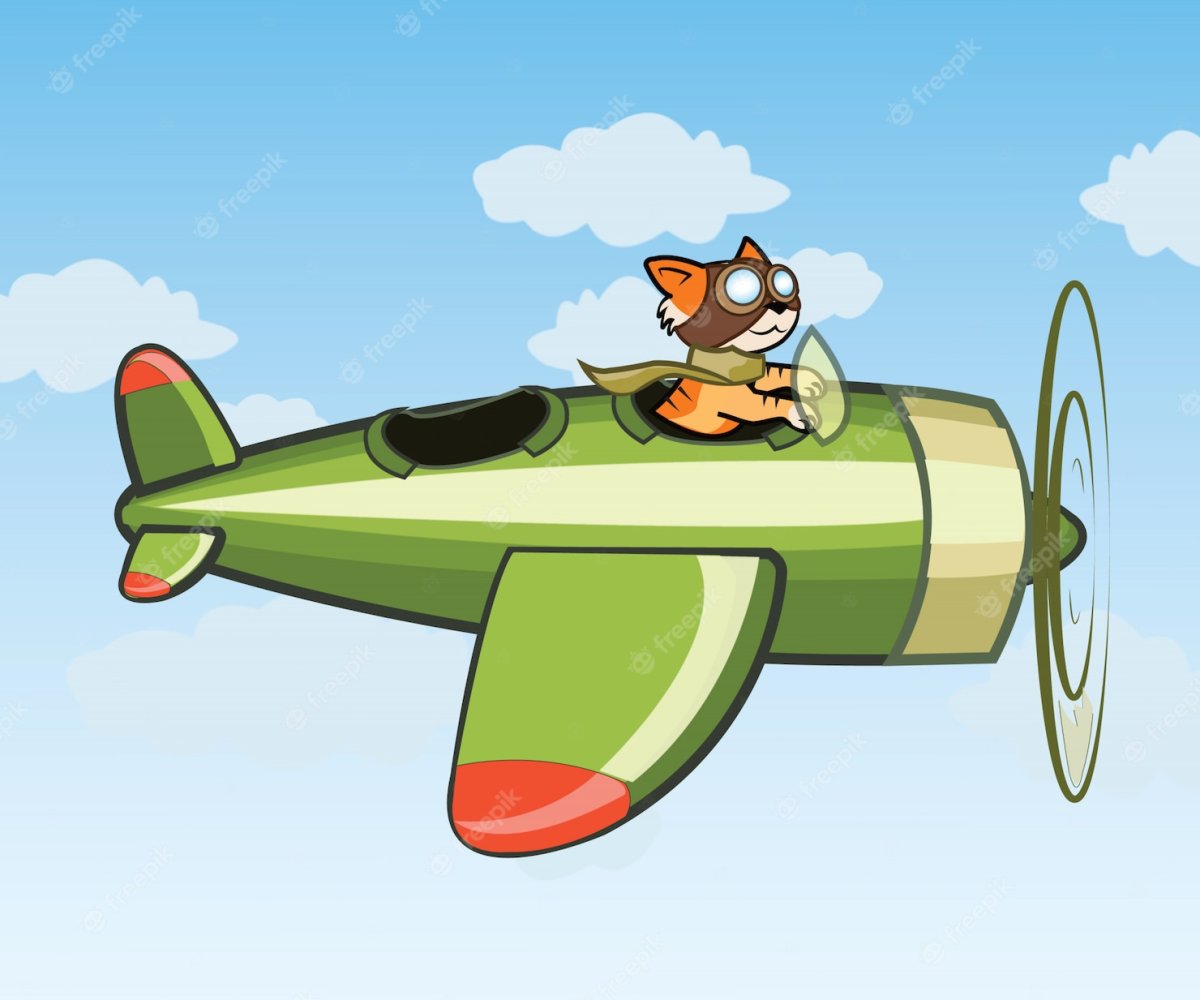 Веселый самолет