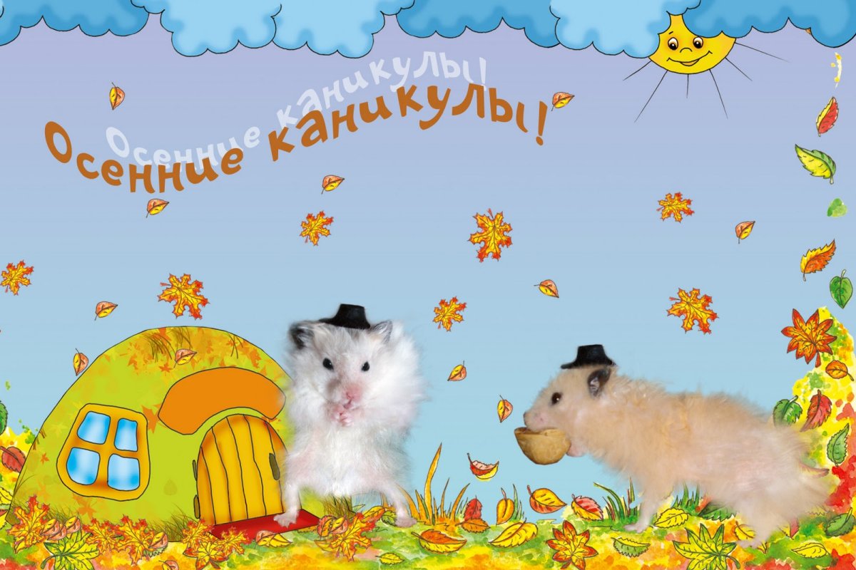 Осенние каникулы с пользой