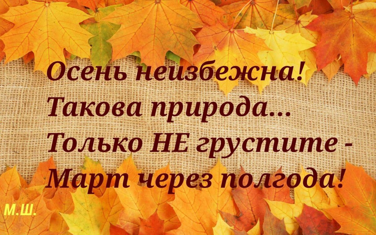 День знаний на английском