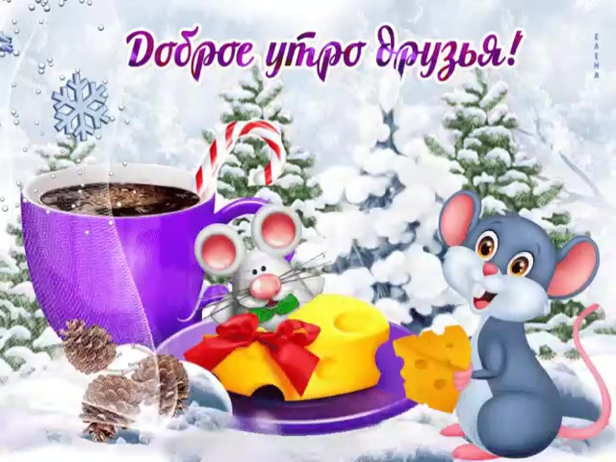 Хорошего дня зима