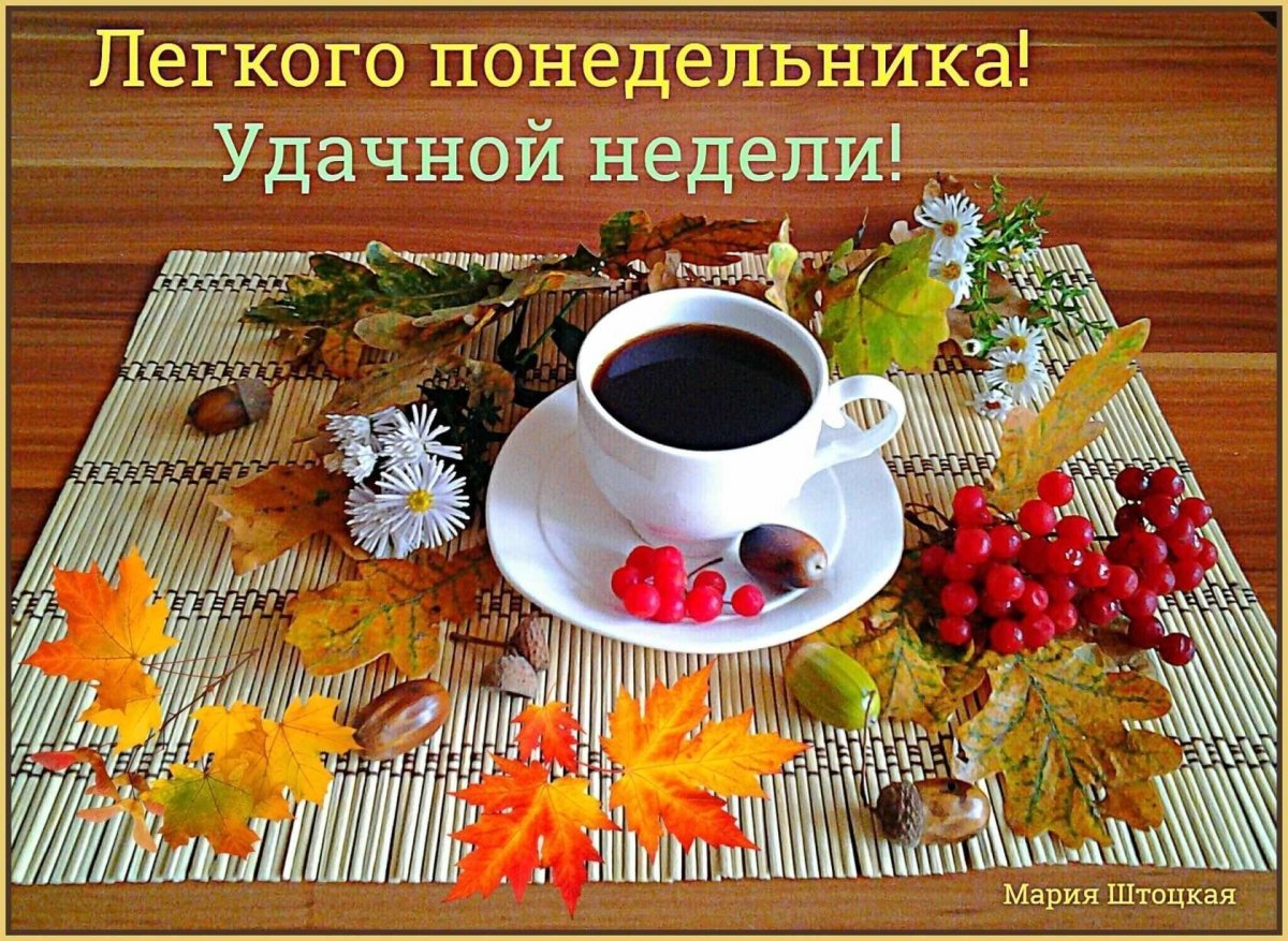 Утро понедельника