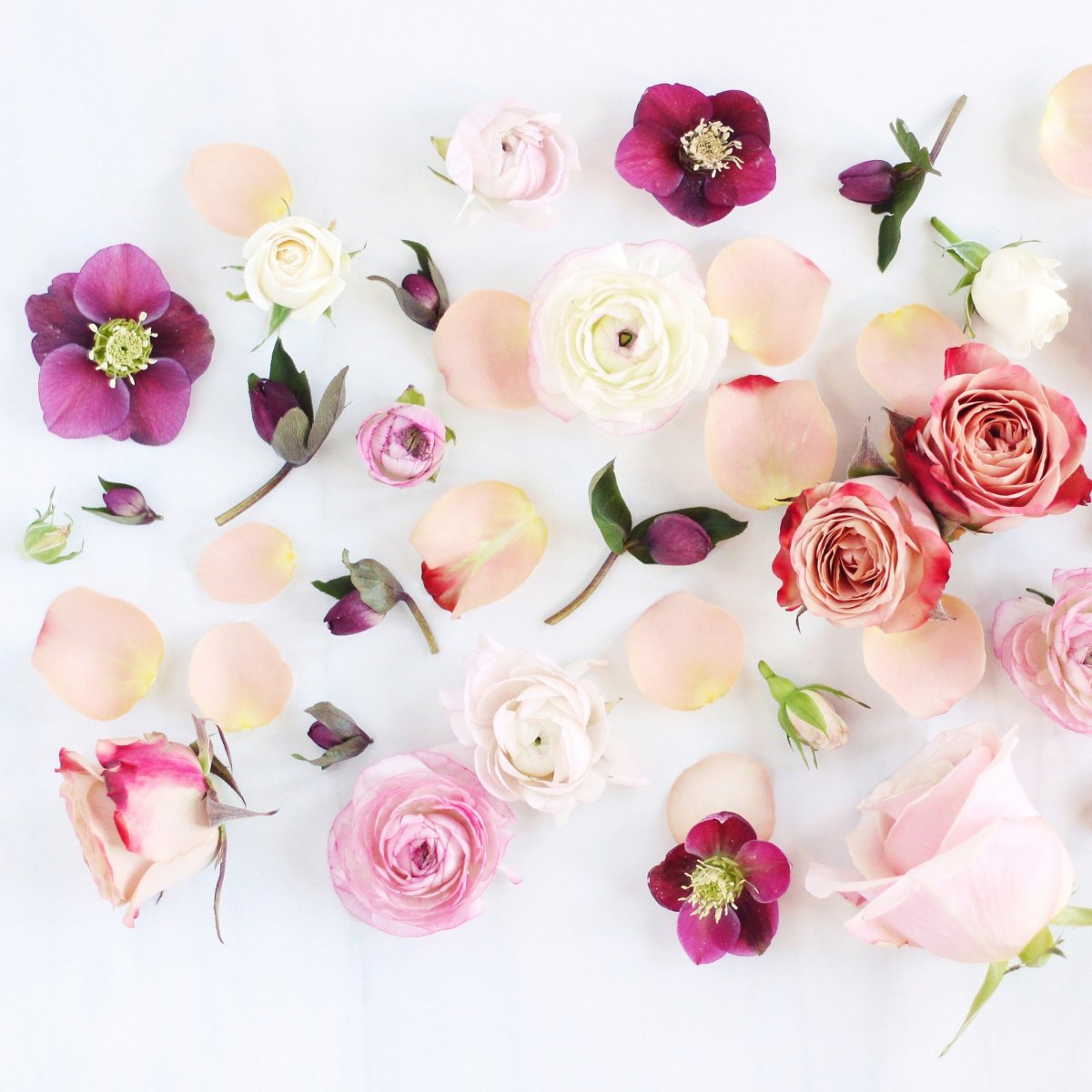 Белые цветы