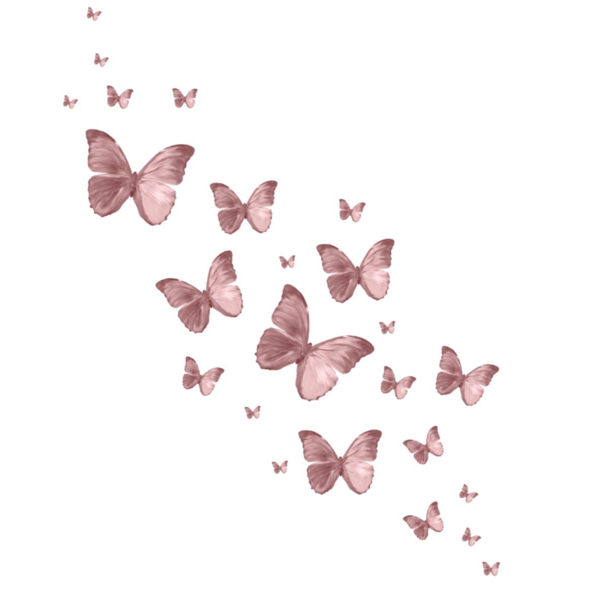Розовые бабочки Эстетика