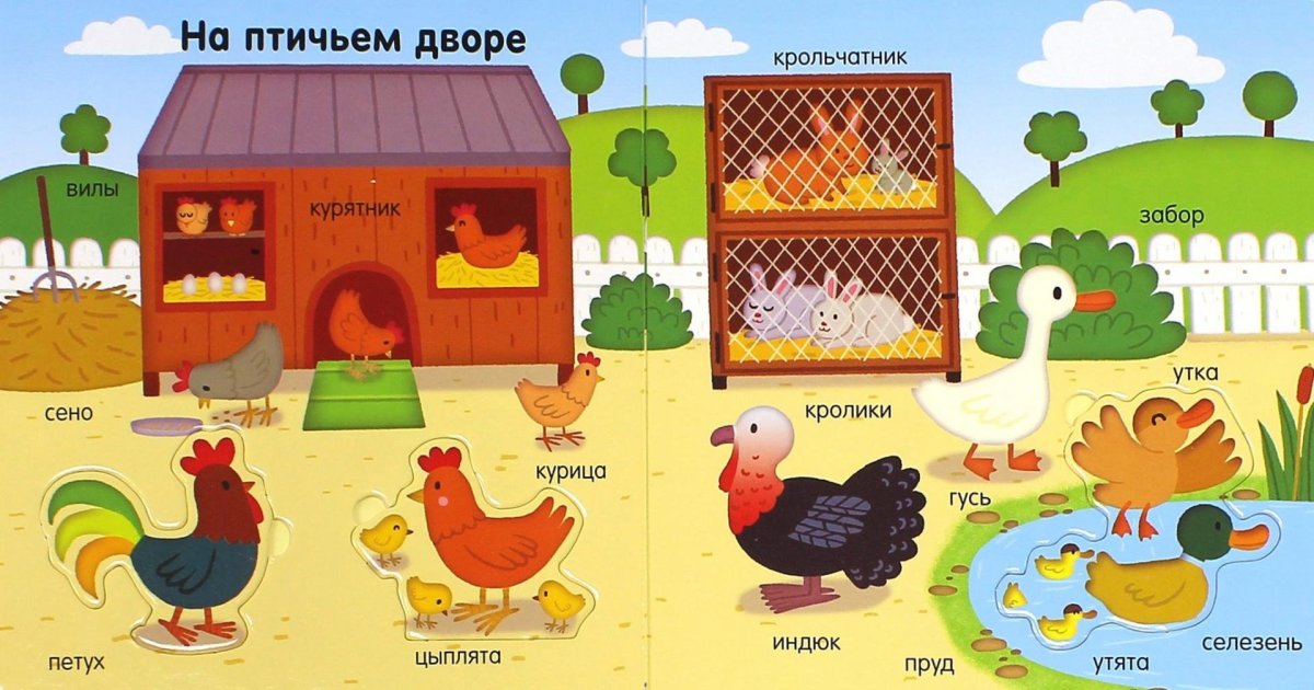 Игра птичий двор Нищева