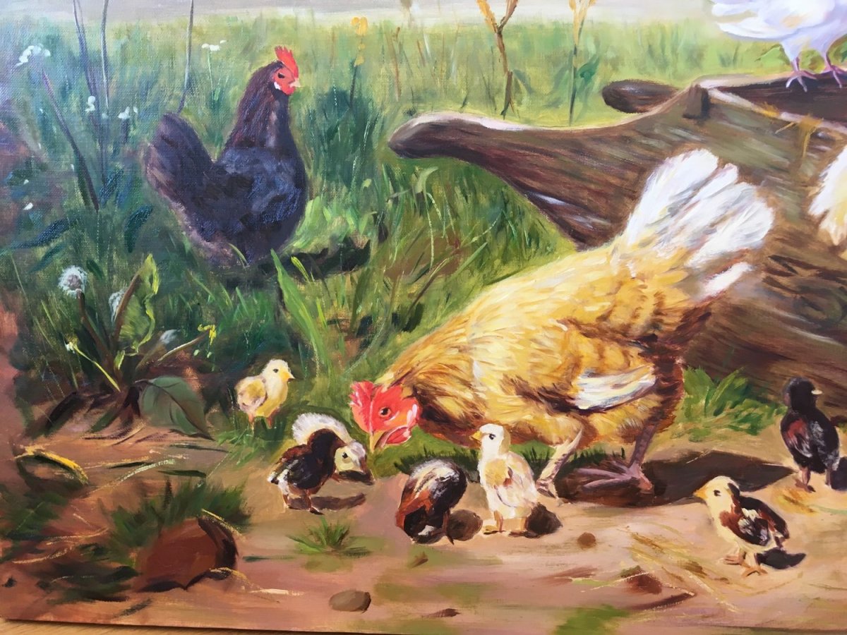 Птичий двор Гадкий утенок