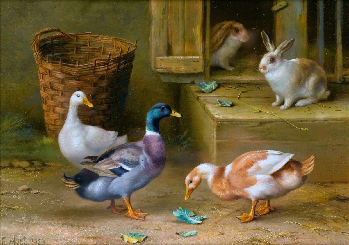 Ферма курицы фон