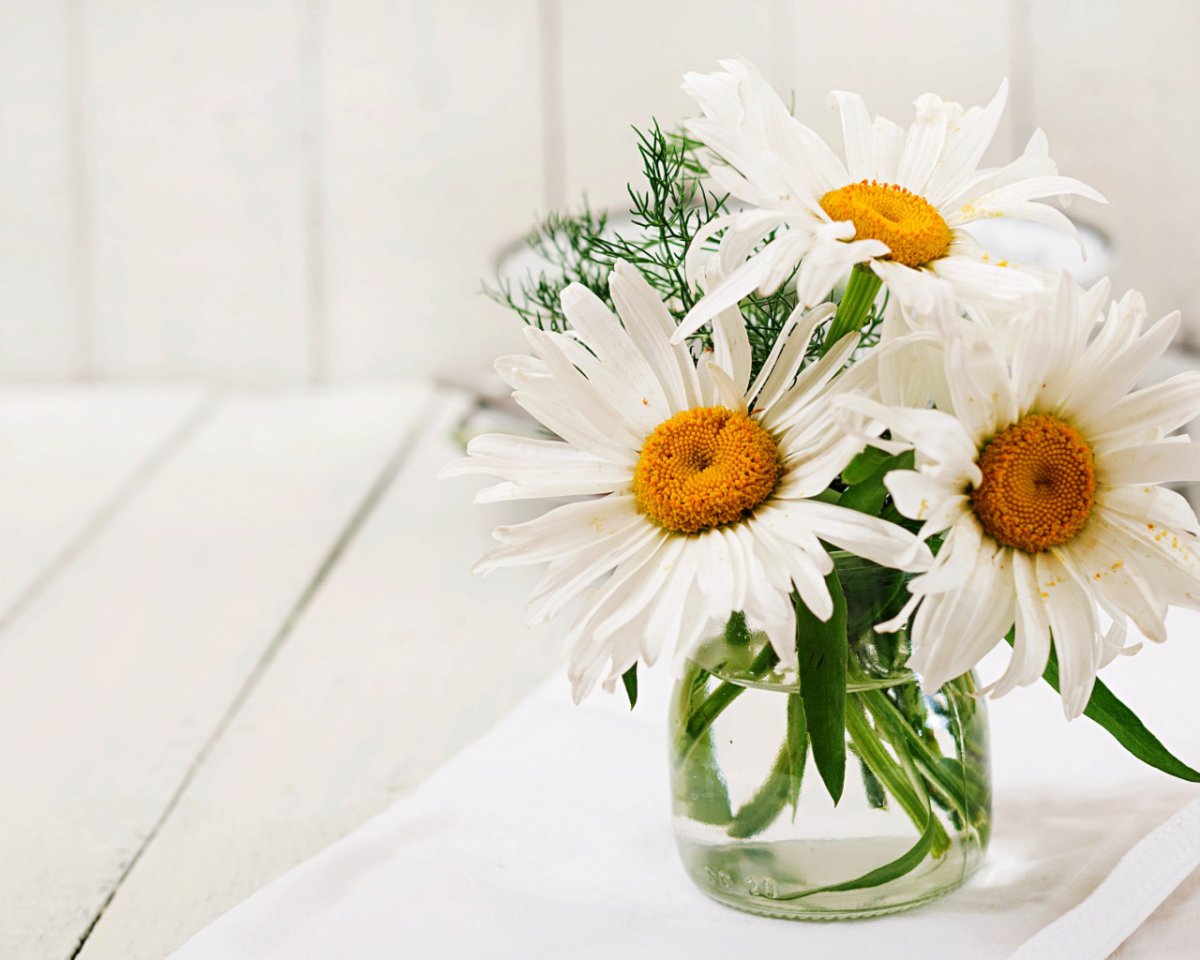 Букет белых ромашек