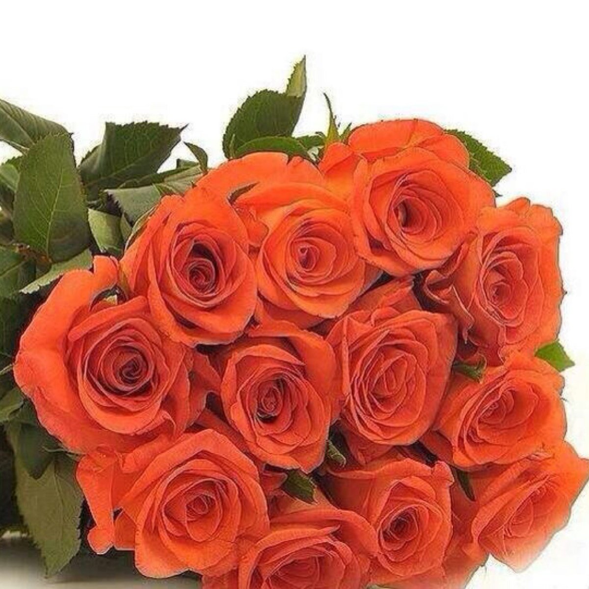 Оранжевые розы букет