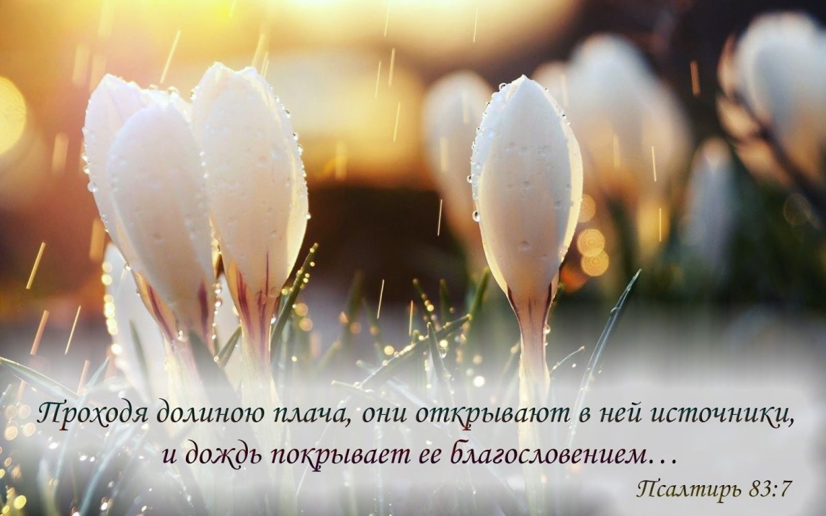 Доброе утро благословенного дня