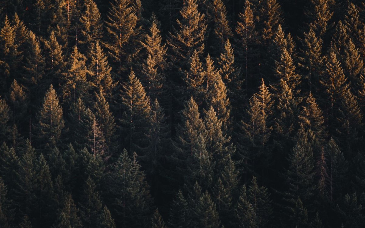 Коричневый фон