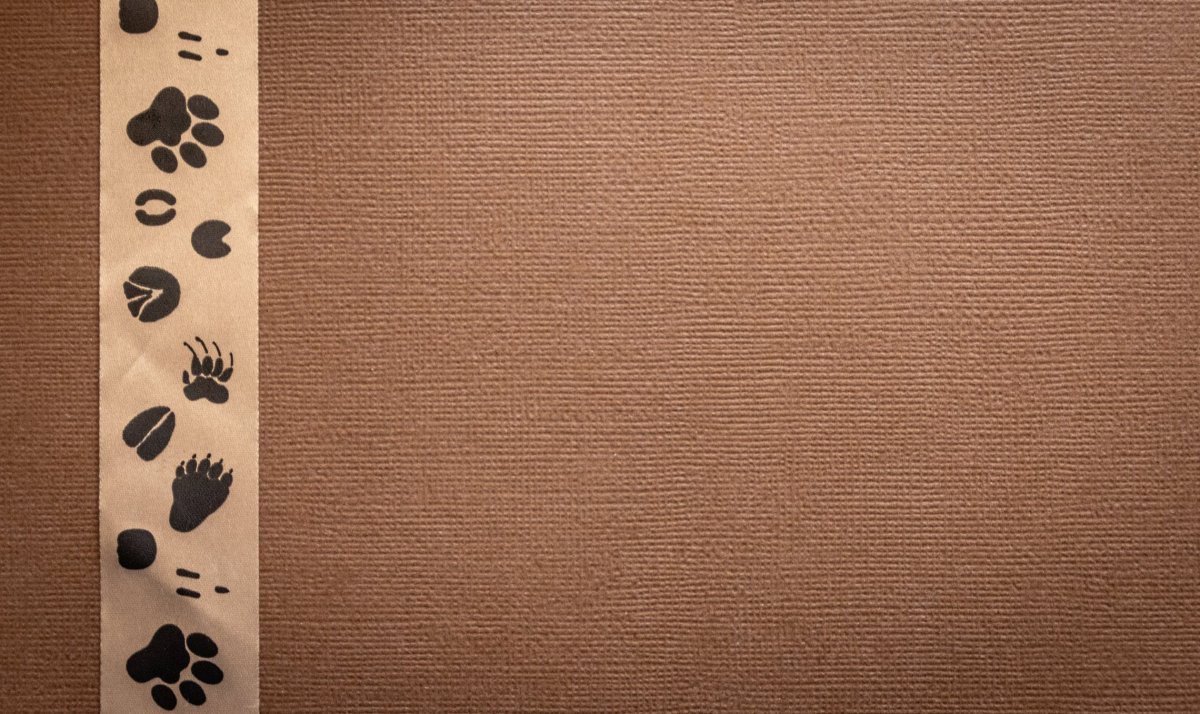 Эстетика бежевого