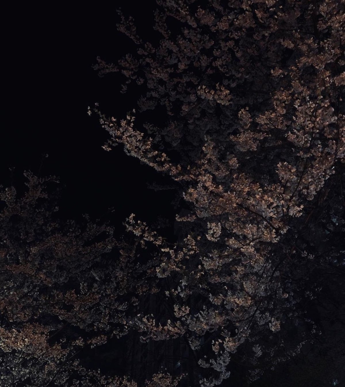 Осень Эстетика уют