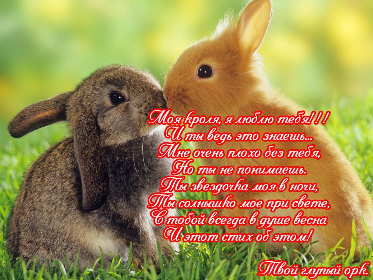 Ты моё солнышко