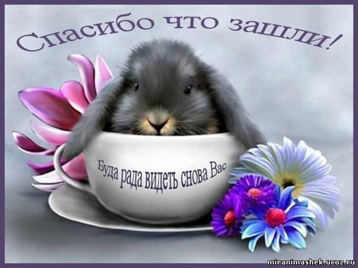 Доброе утро Зайчонок