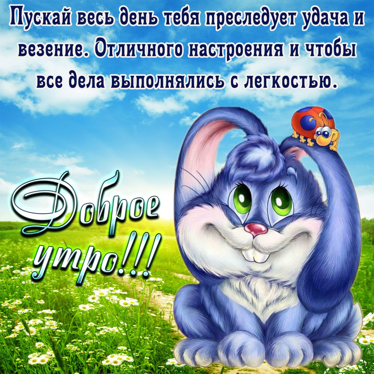 Открытки с добрым утром любимочка