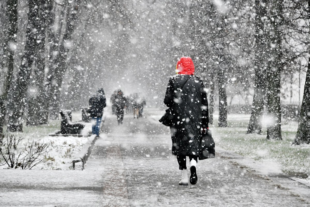 Погодный феномен Кровавый снег