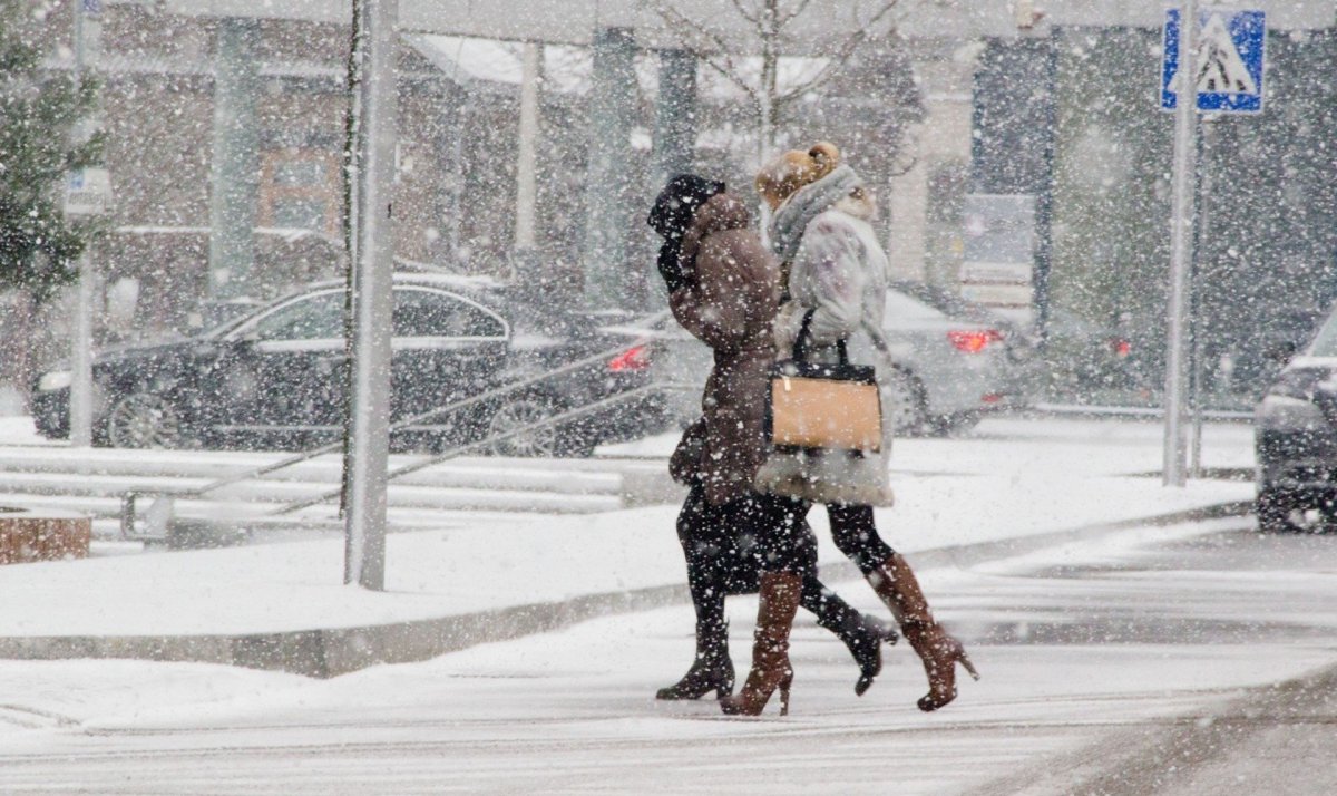 Сильный ветер со снегом