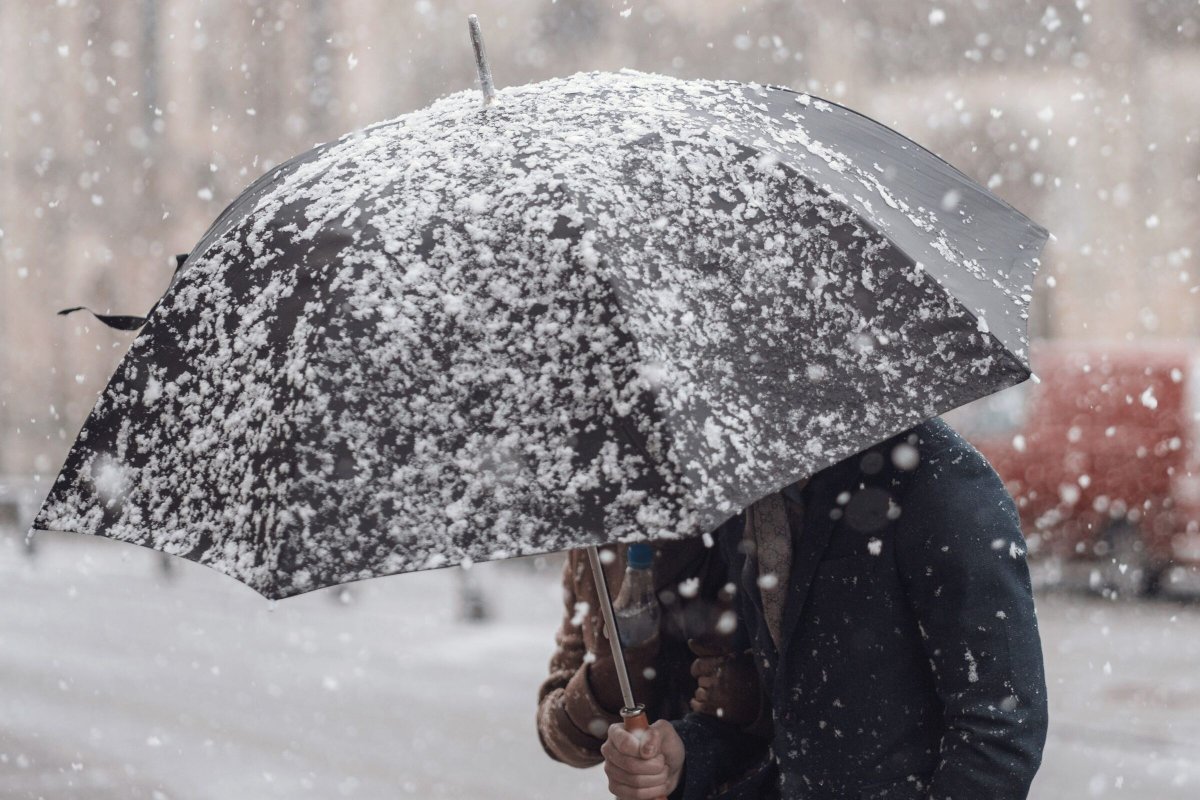 Штормовое предупреждение