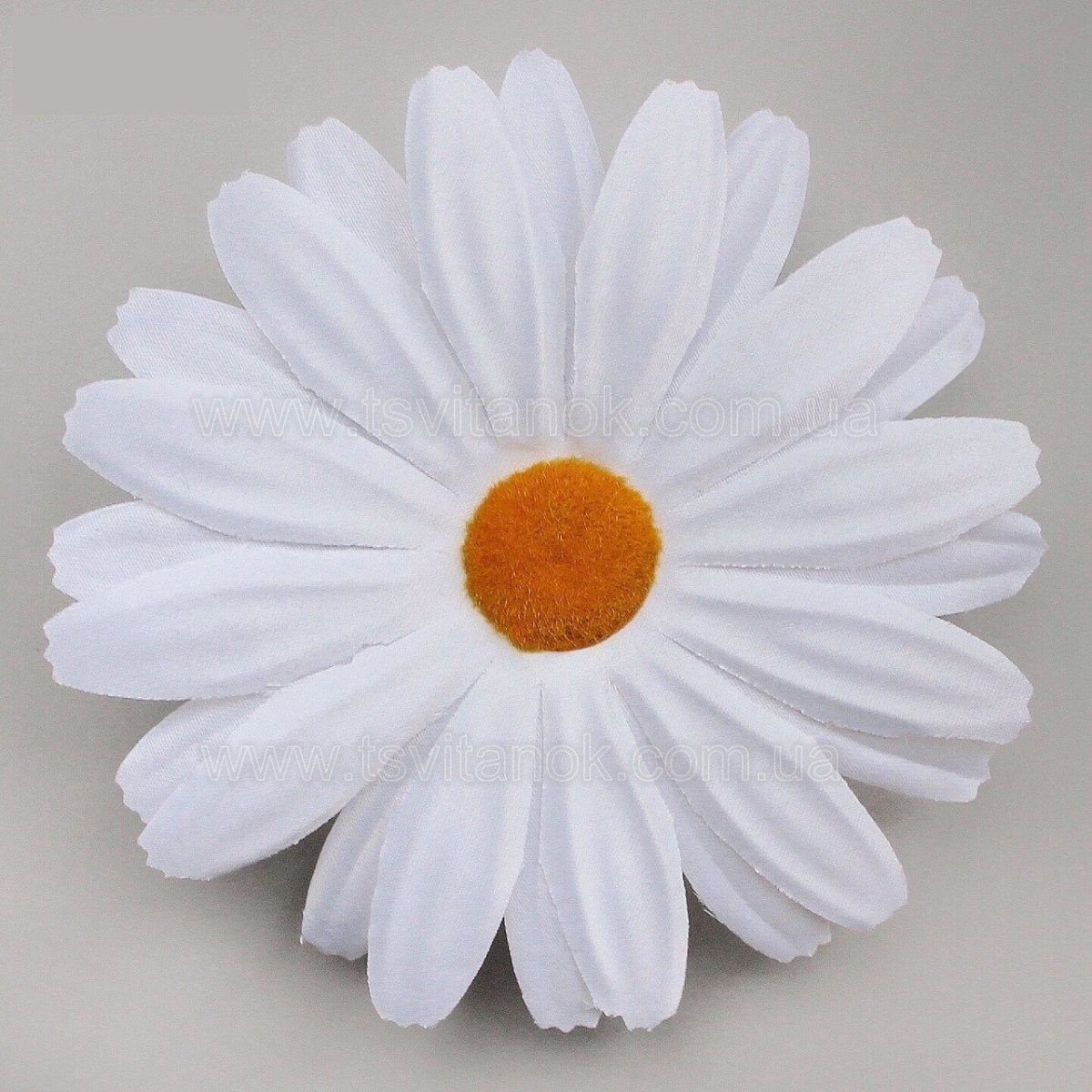 Ромашка с черным контуром цветная