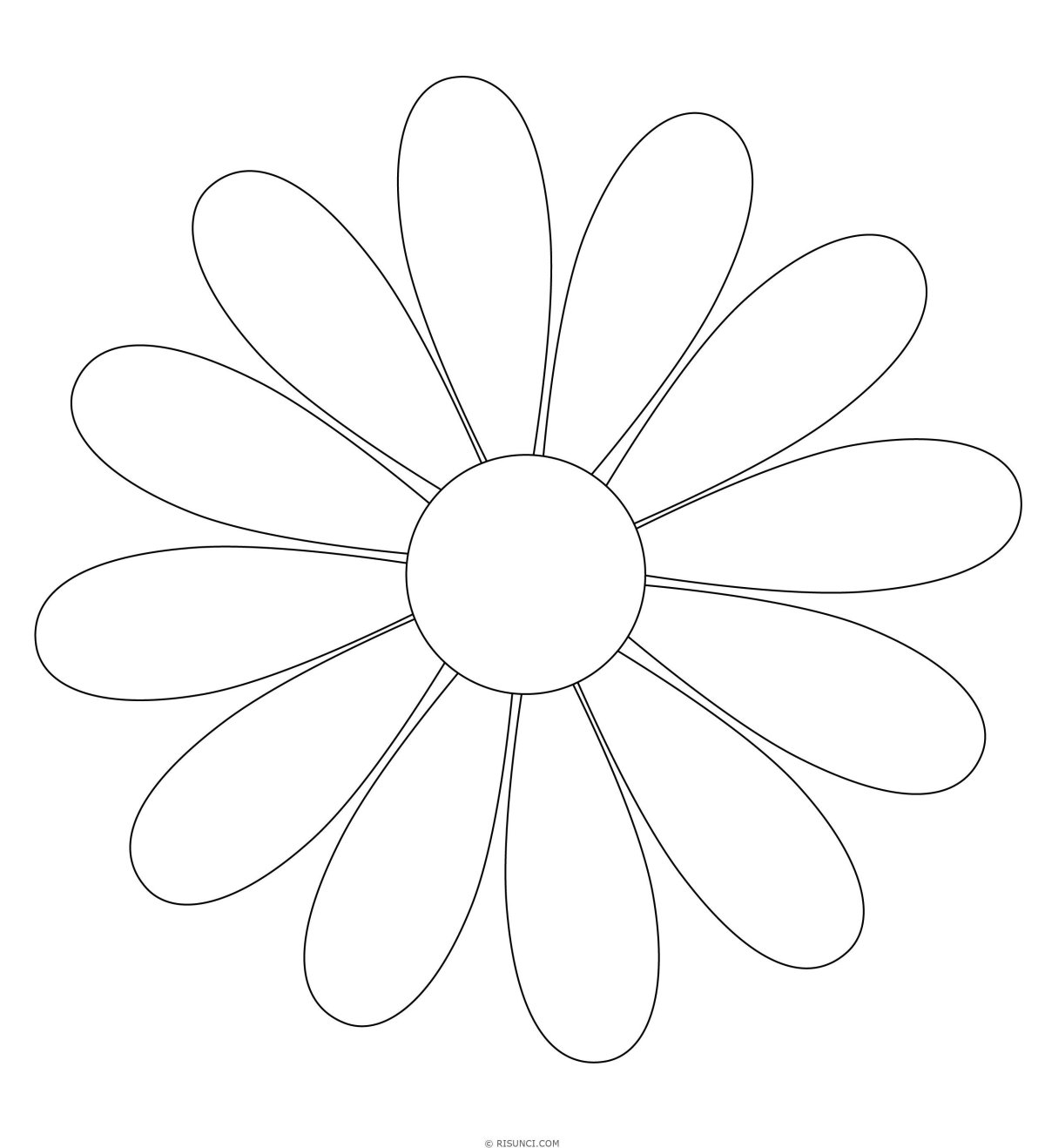 Рисунки для срисовки цветы ромашки