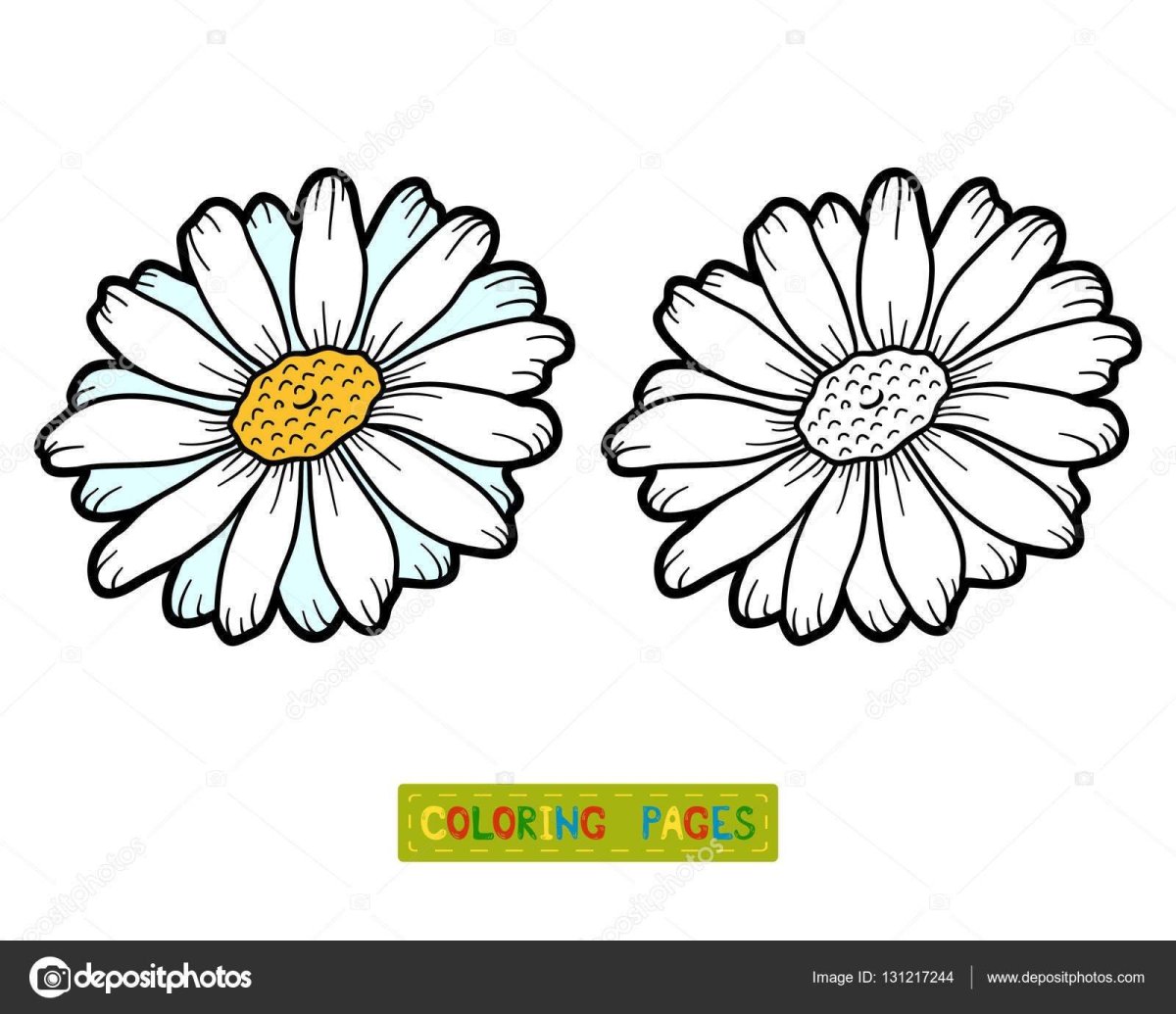 Цветы. Раскраска для малышей