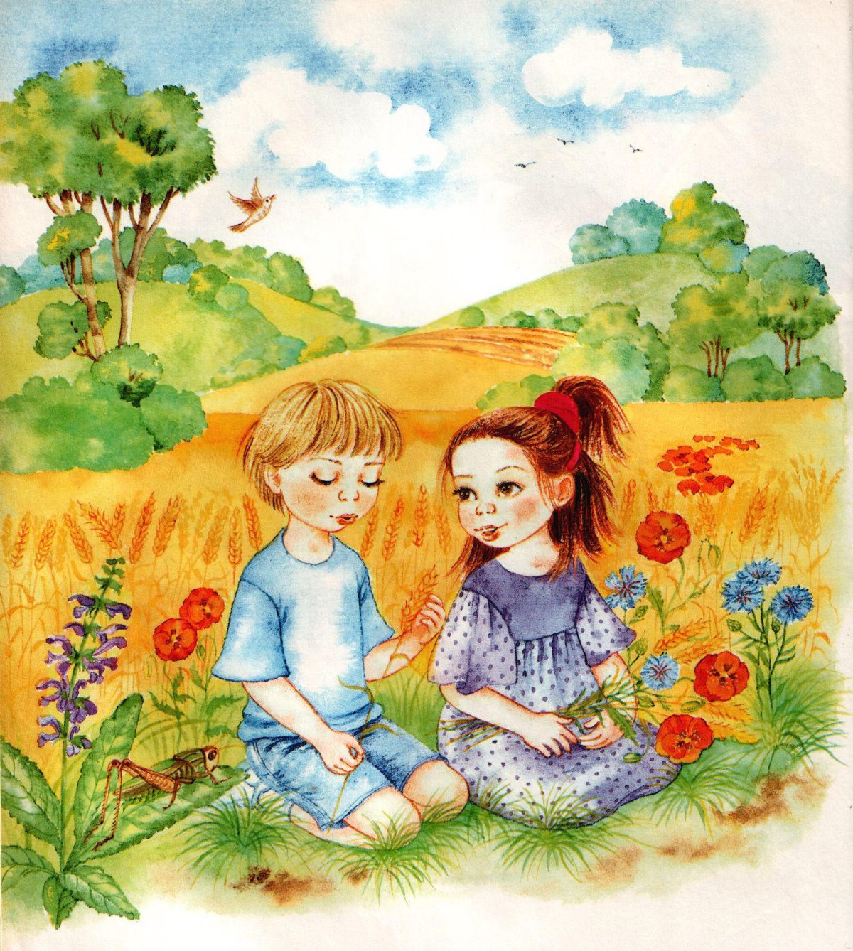 Сюжетные иллюстрации