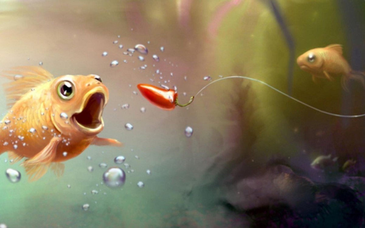 Прикольные рыбки