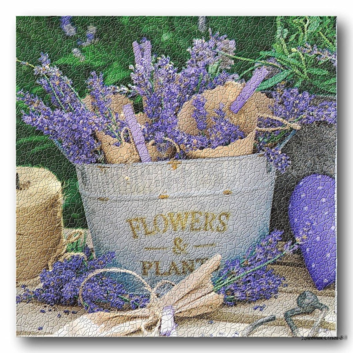 Цветы в стиле Прованс рисунок