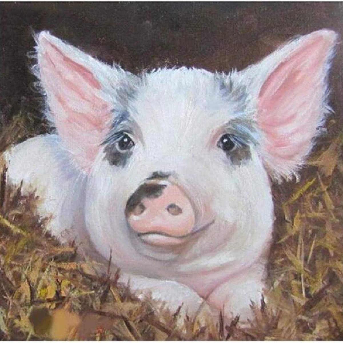 Лицо свиньи