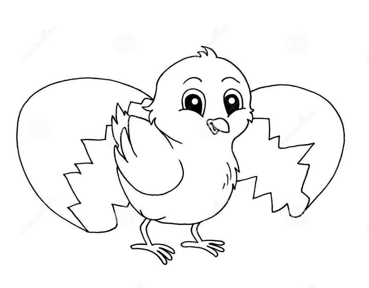 Цыпленок в графике