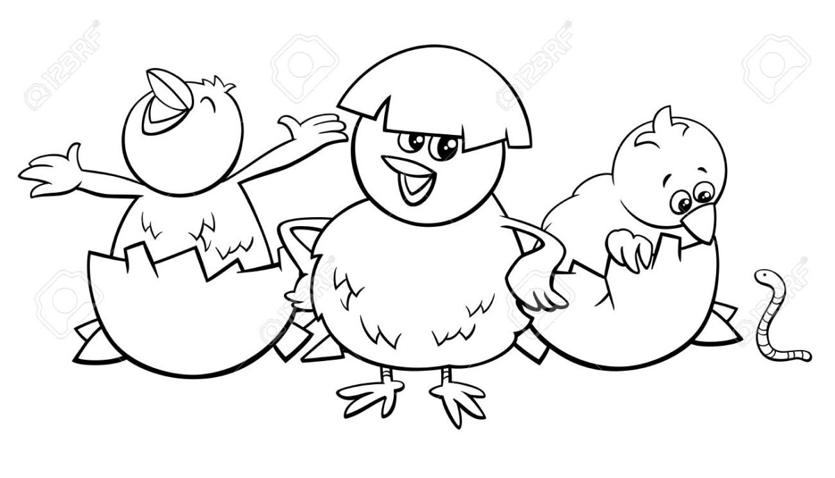 Цыпленок картинка для детей