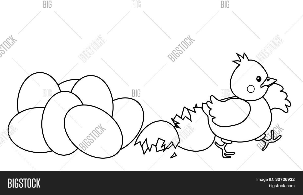 Раскраска цыпленок для детей 4-5 лет