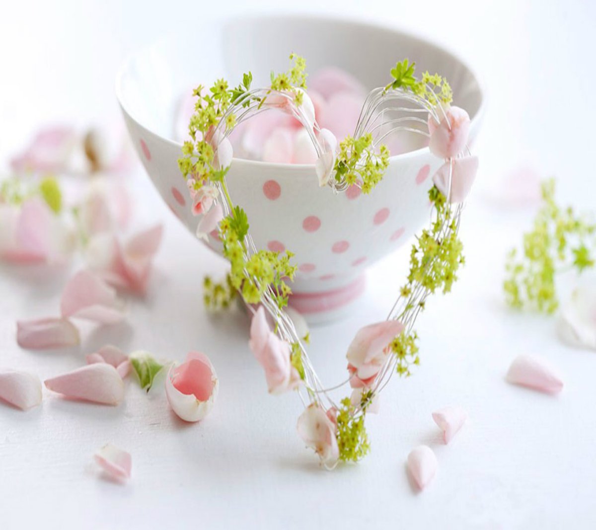 Нежное утро