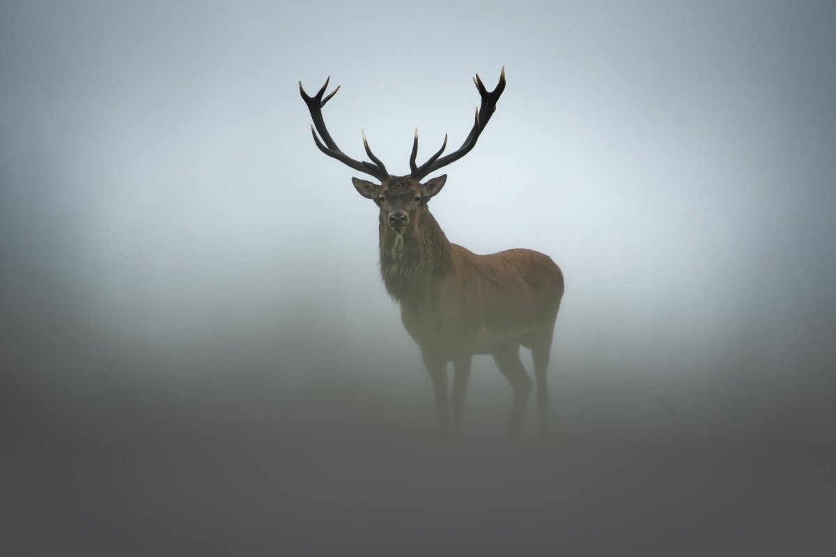 Картинка у меня сложный период в жизни