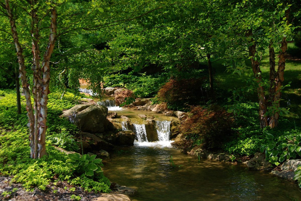 Природа речка лес Ручеек