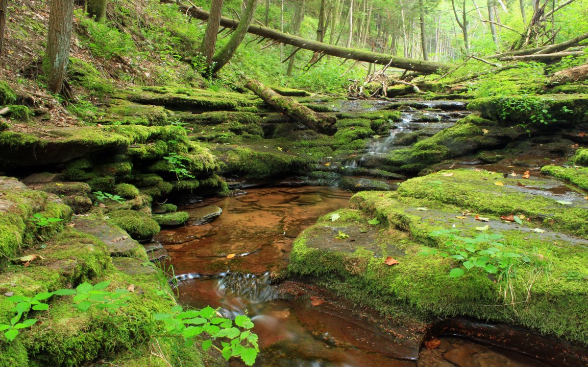 Stream поток ручей