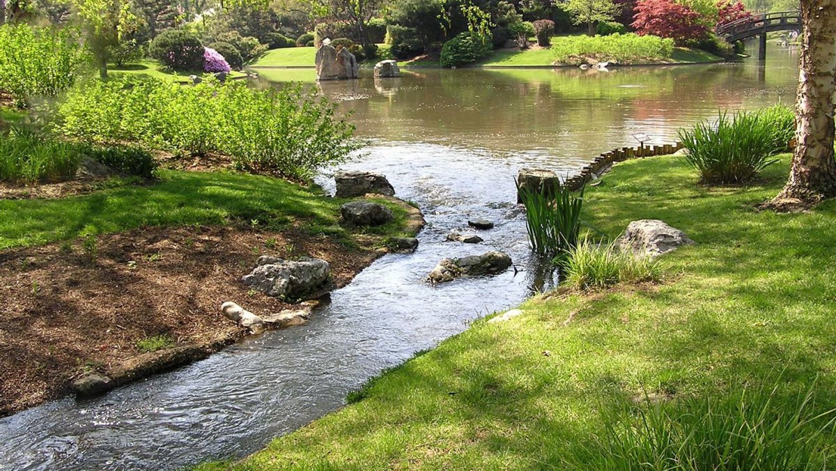 Речка в саду