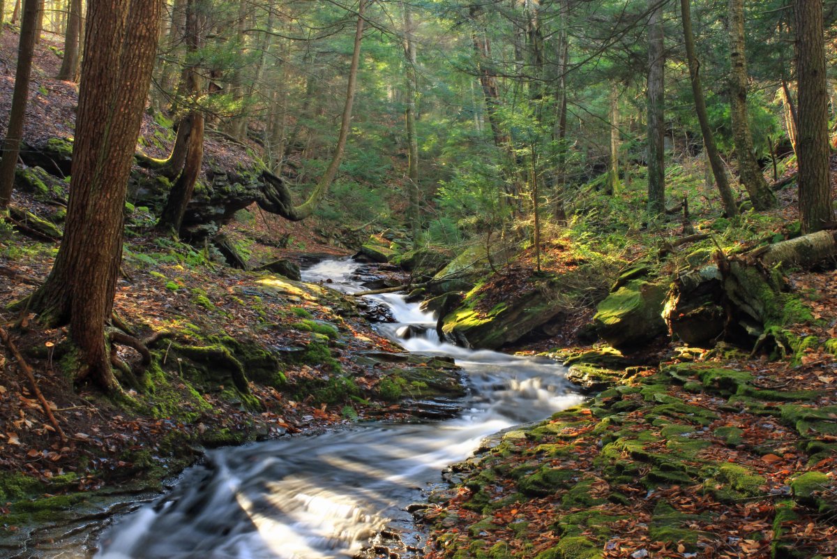 Гуамини река