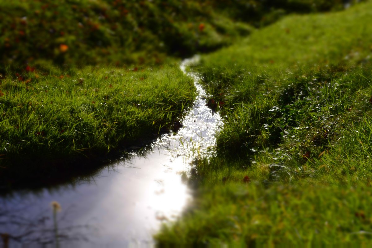 Узкий Ручеек и широкая река