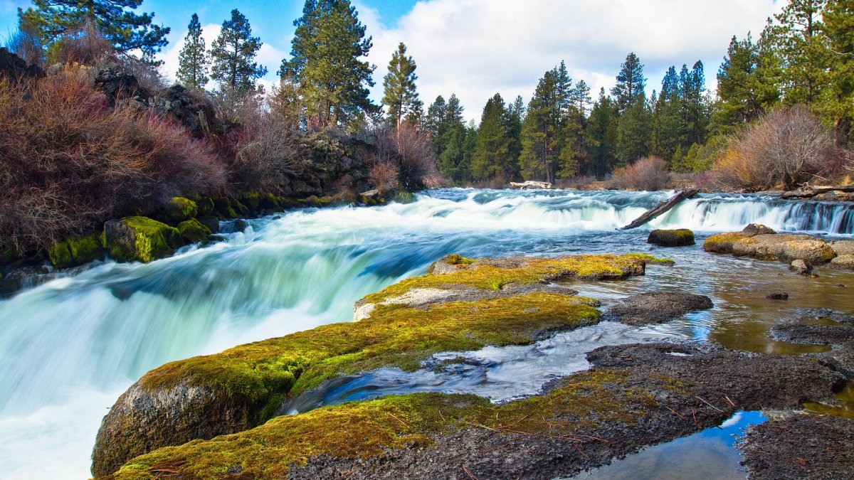 Национальный заповедник Гиффорд Пинчот, Вашингтон, США