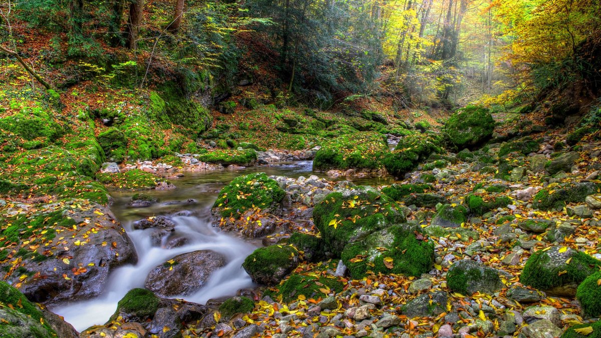 Осень Горная река