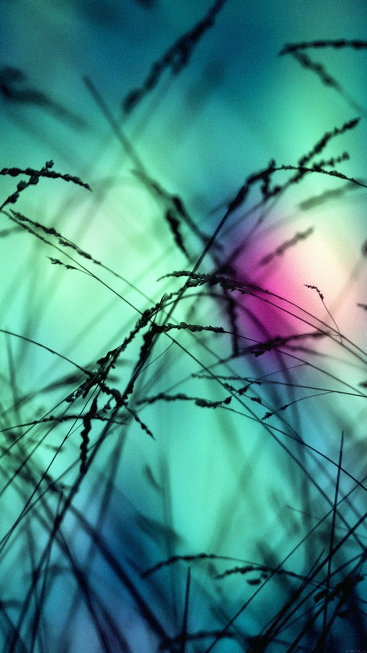 Фоны красивые и редкие