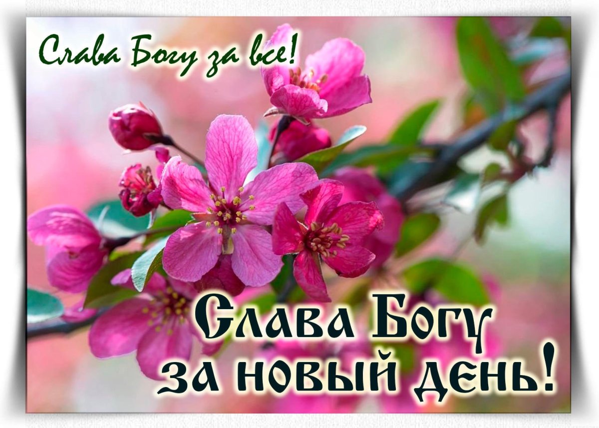 Слава Богу за новый день