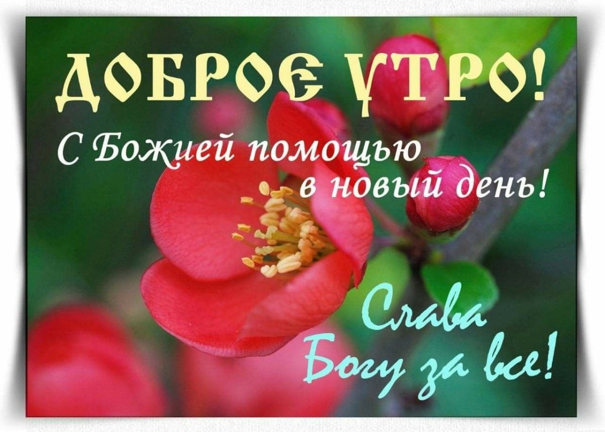 С Божьей помощью