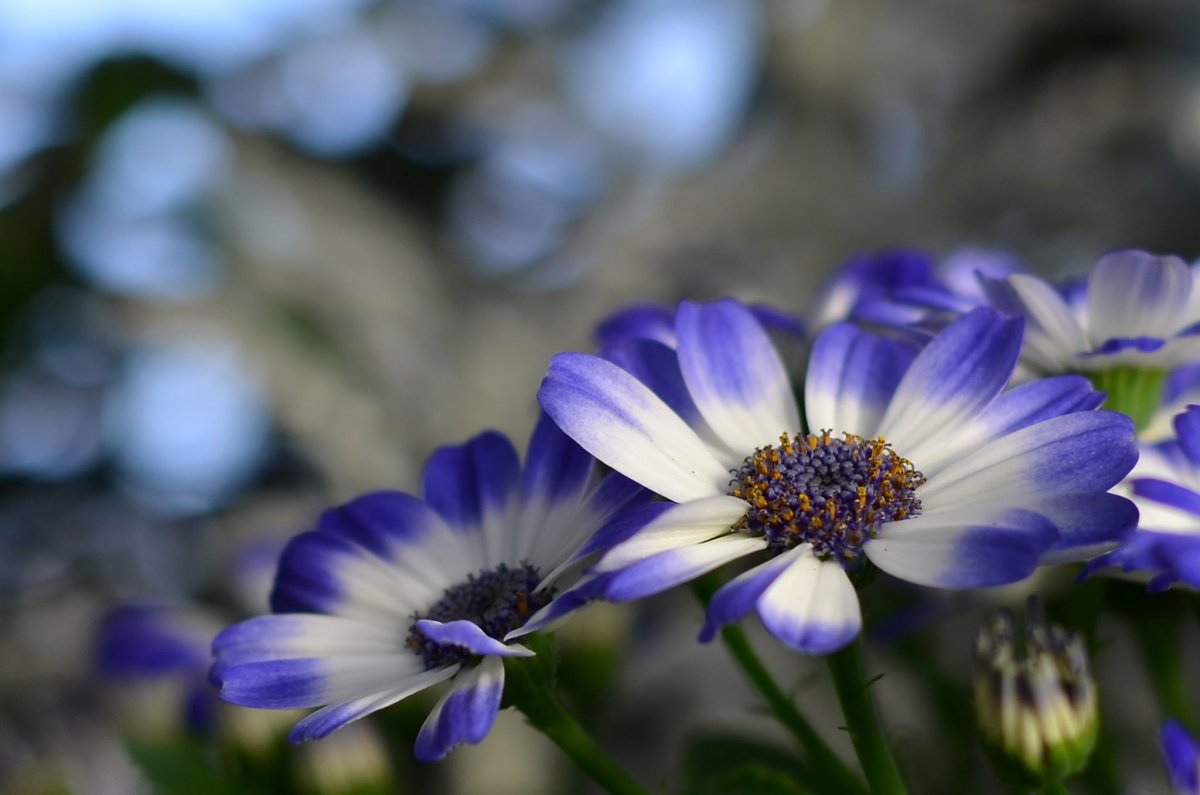 Слава Богу за все красивые