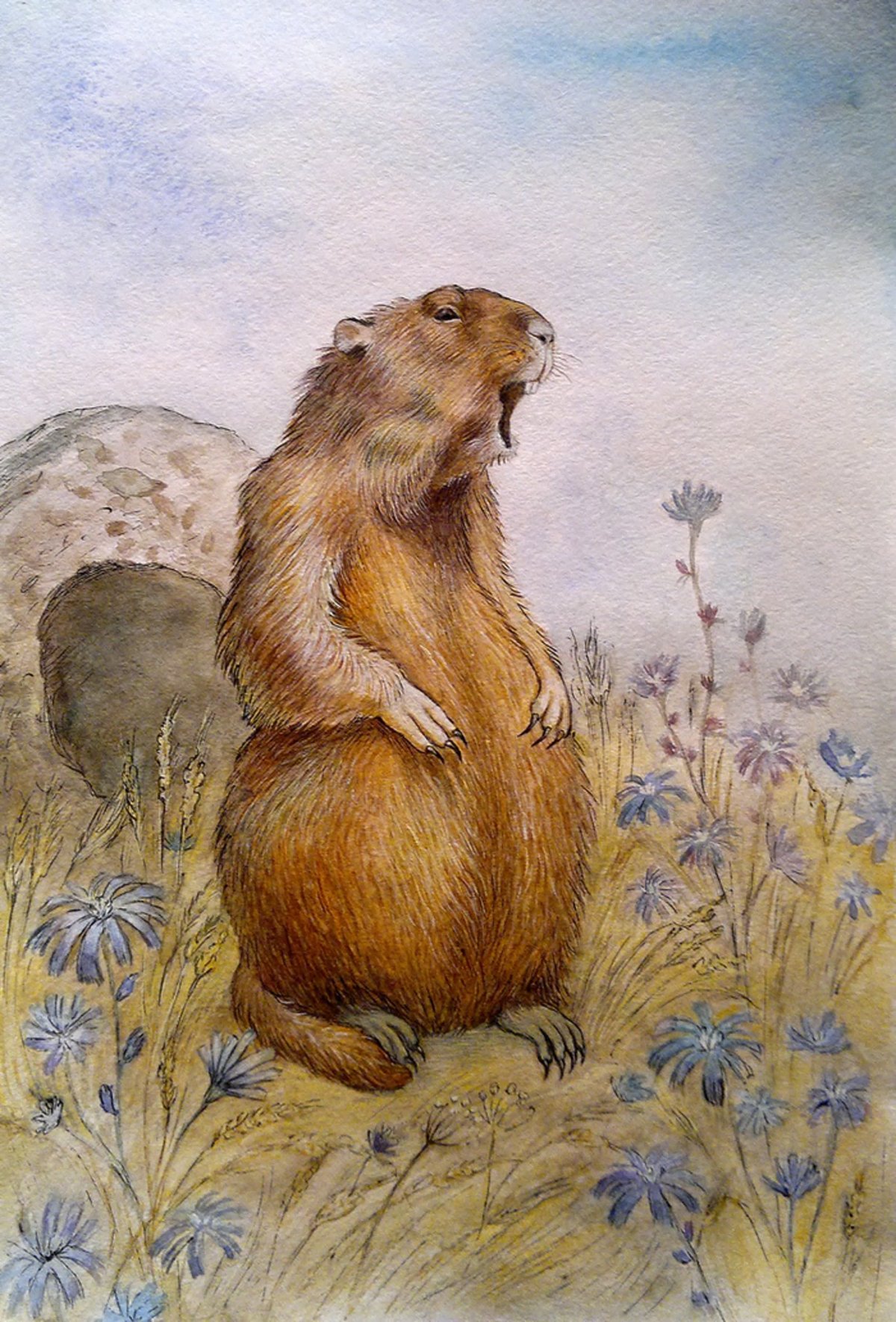 Суслик в платье